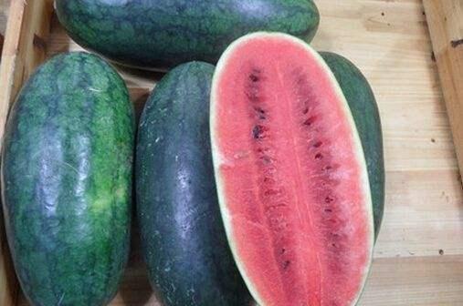 黑料吃瓜张警官